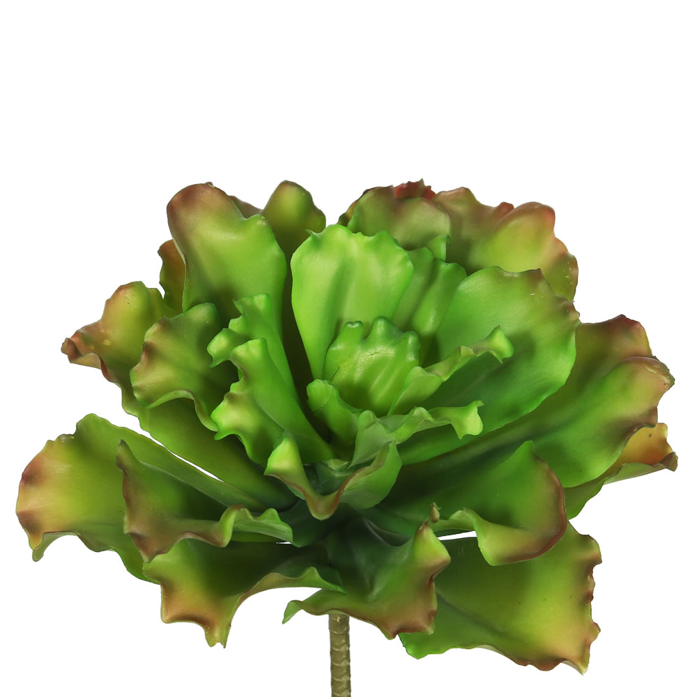 9" Big Romaine-Green/Brown 3/pk