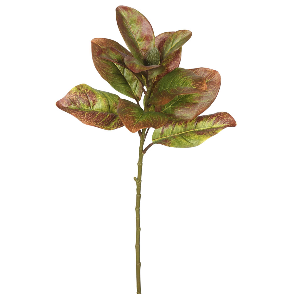 Vickerman Artificial Autmn Magnolia Leaves, No Blossom, 3/pk