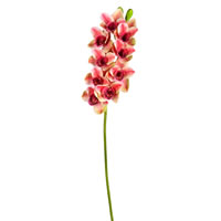 Vickerman Artificial 33" Cymbidium Stem, Real Touch
