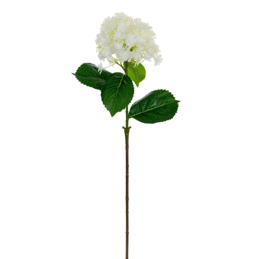 Panicle Hydrangea UV 3/Bag