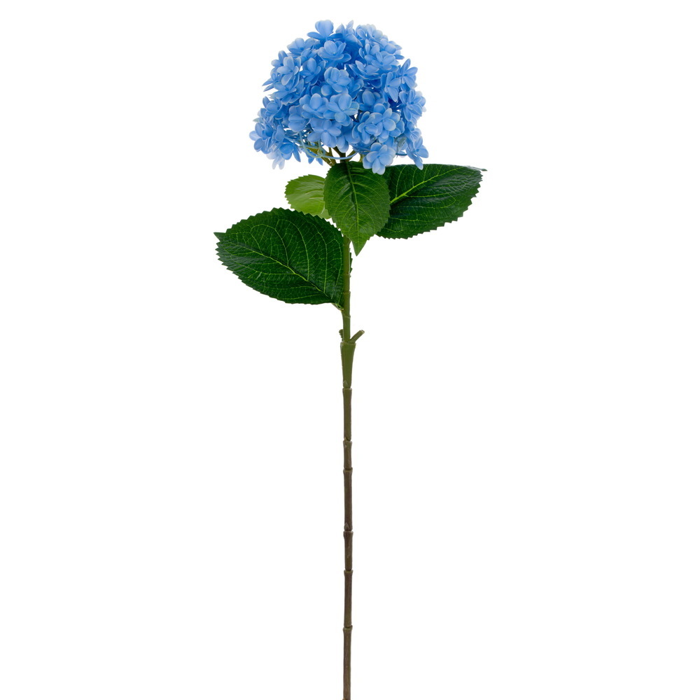 27" Baby Blue Panicle Hydrangea UV 3/Bag
