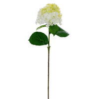 27" Celadon Panicle Hydrangea UV 3/Bag