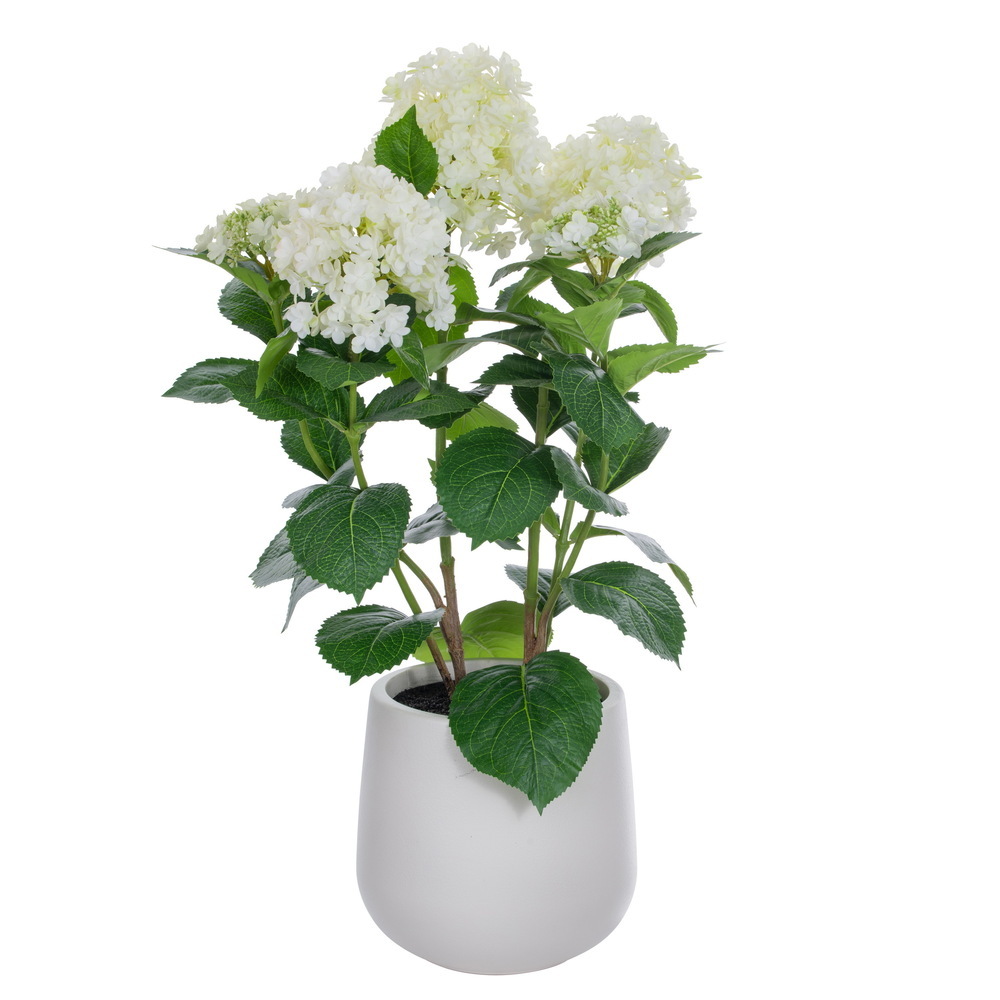 Panicle Hydrangea Bush Pot UV