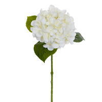 FreshTouch Bigleaf HydrangeaUV 3/Bag