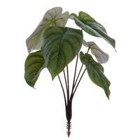 15" Green Caladium Bush 6-Leaf FT UV 2Bg