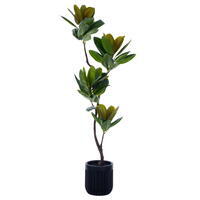74" Rubber Tree Potted FT UV KD