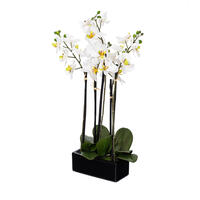21" Potted Orchid White