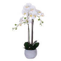 Vickerman 26" Real Touch Orchid Stem in Cement Pot