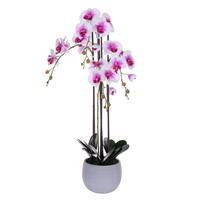 Vickerman 39" Real Touch Orchid Stem in Cement Pot