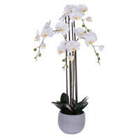 Vickerman 39" Real Touch Orchid Stem in Cement Pot