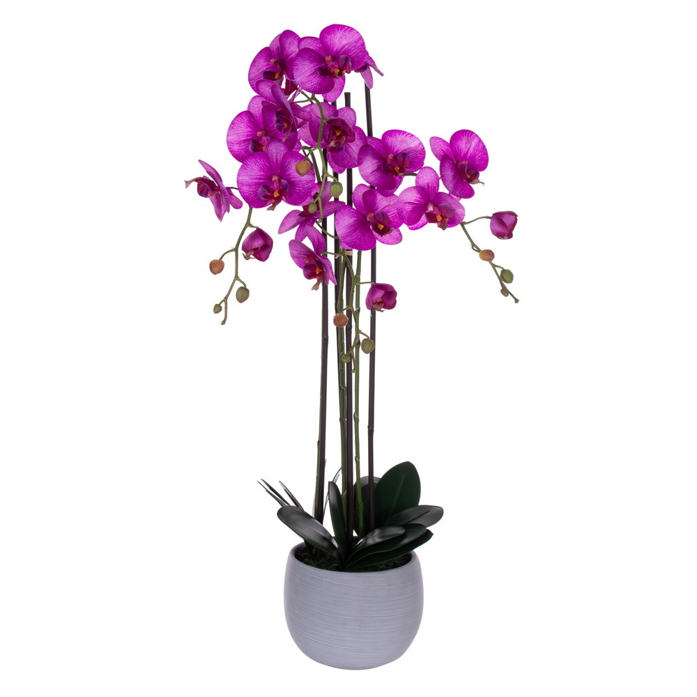 Vickerman 39" Real Touch Orchid Stem in Cement Pot