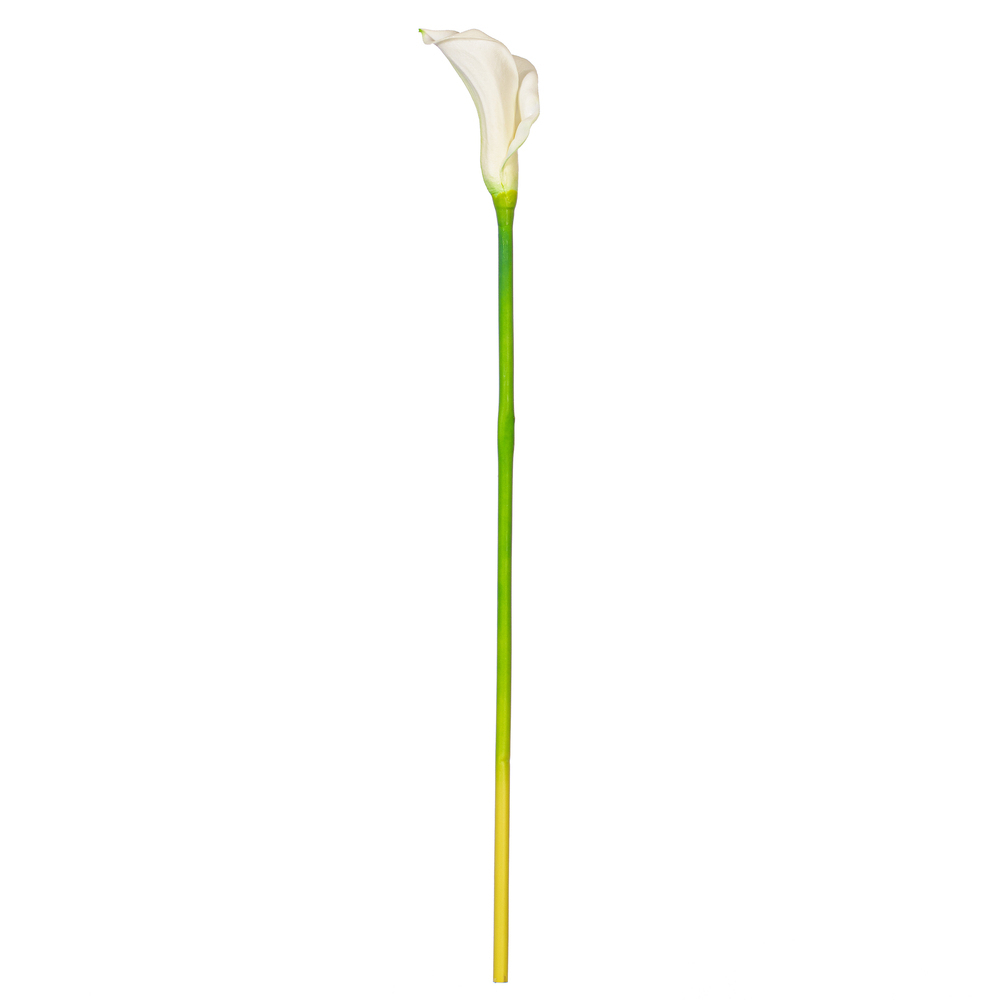 Vickerman Artificial 26" Calla Lily Stem