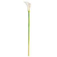 Vickerman Artificial 26" Calla Lily Stem