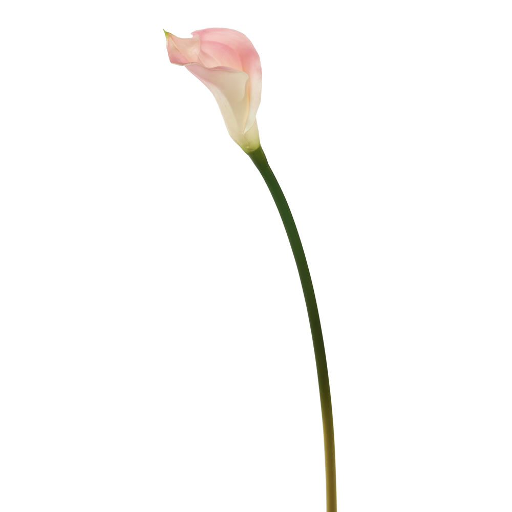 Vickerman Artificial 26" Calla Lily Stem