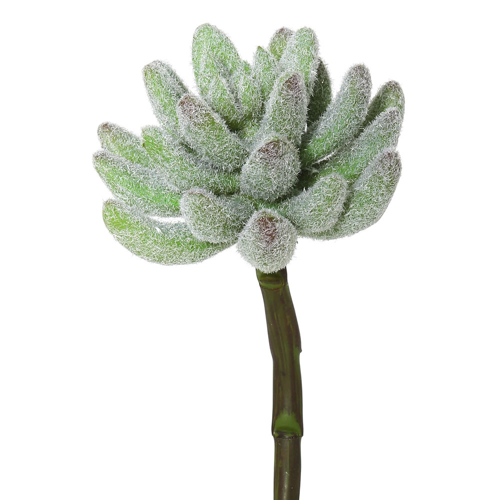 Vickerman Artificial Crassula Pick