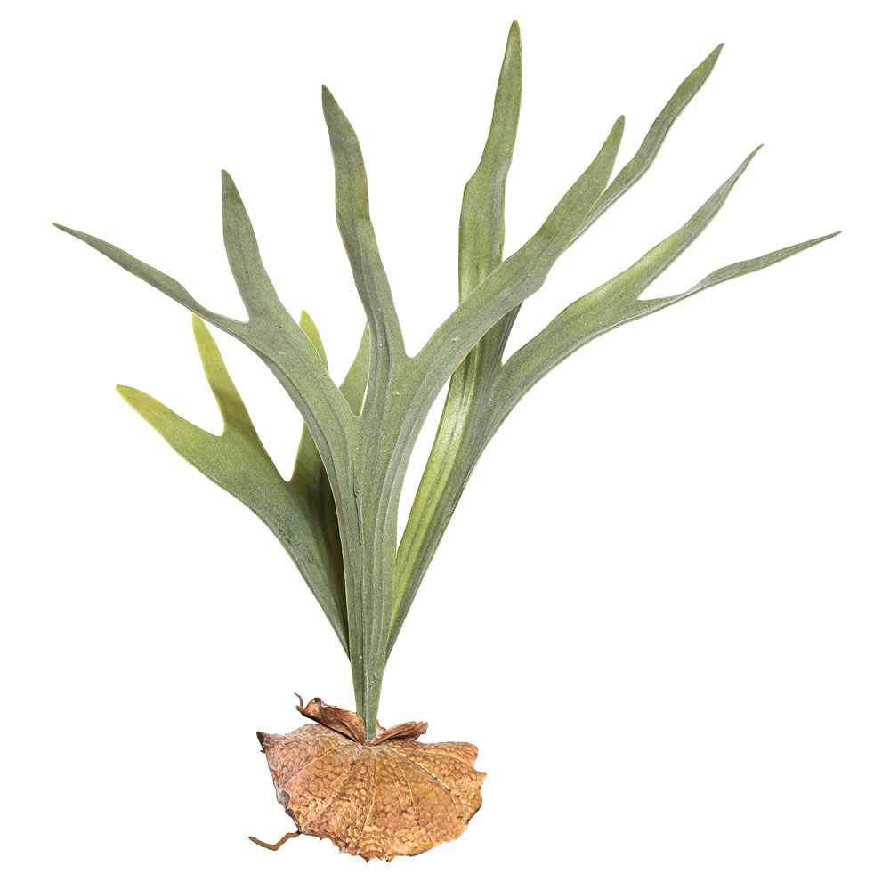 Vickerman Artificial Staghorn Fern