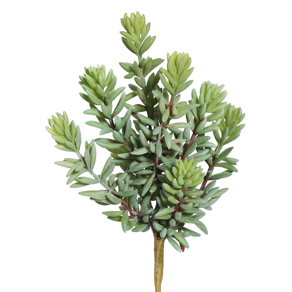 8" Sedum Pick 3/pk