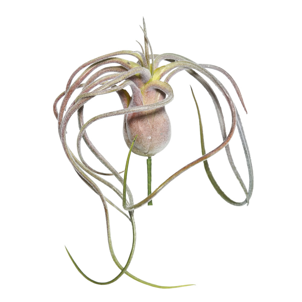 Vickerman Artificial Tillandsia Pick