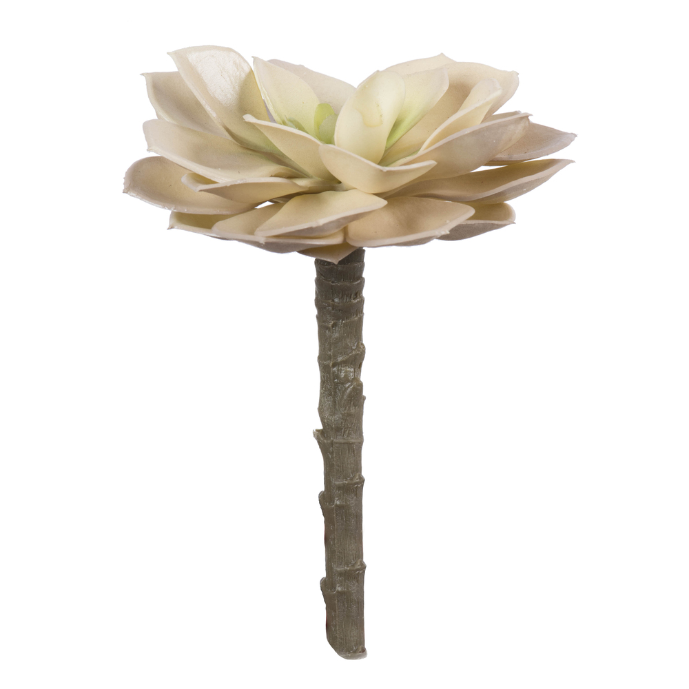 5" Green Succulent Pick 4/pk