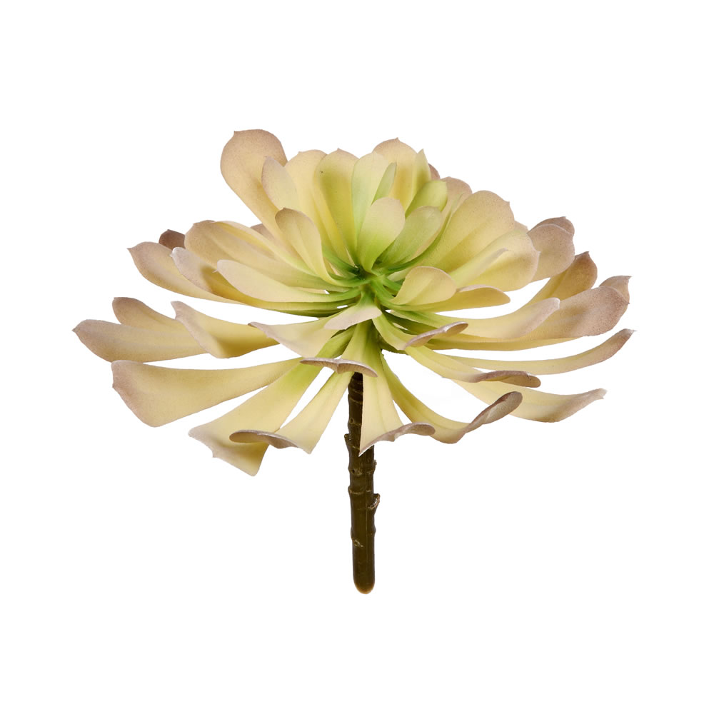 5.5" Green Succulent Pick 3/pk