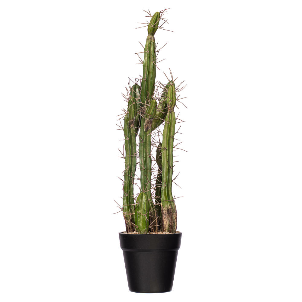 Vickerman Artificial Toothpick Cactus