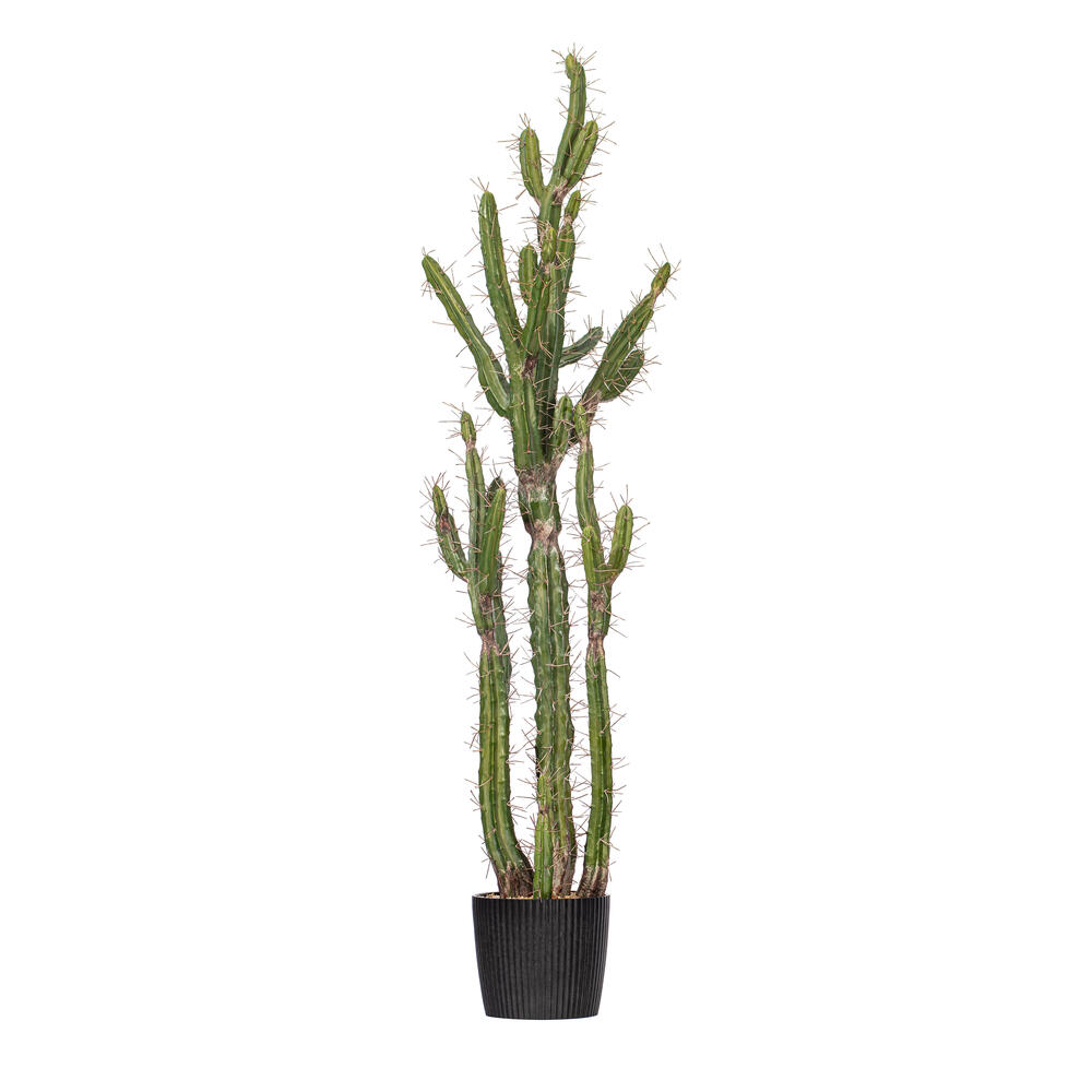 Vickerman Artificial Toothpick Cactus