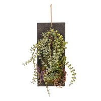 25" Green Mixed Plants on Wooden Plaque