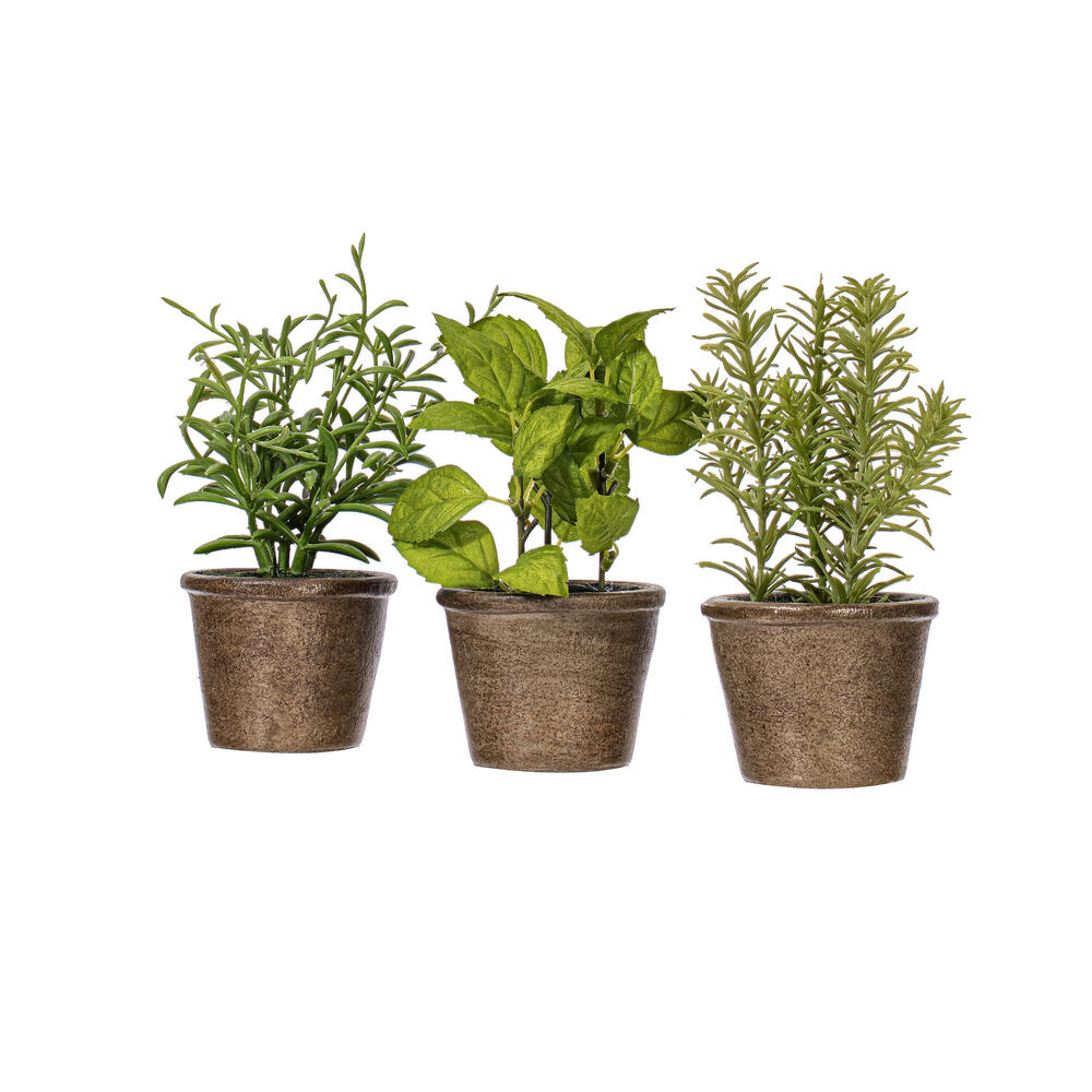 7" Green Potted Herbs Assort 3/pk