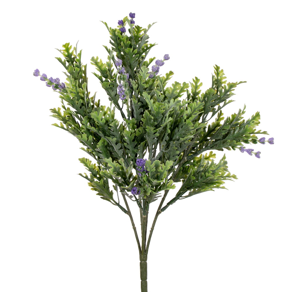 16.5" Green Senecio Cineraria Bush 2/pk