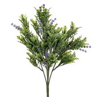 16.5" Green Senecio Cineraria Bush 2/pk