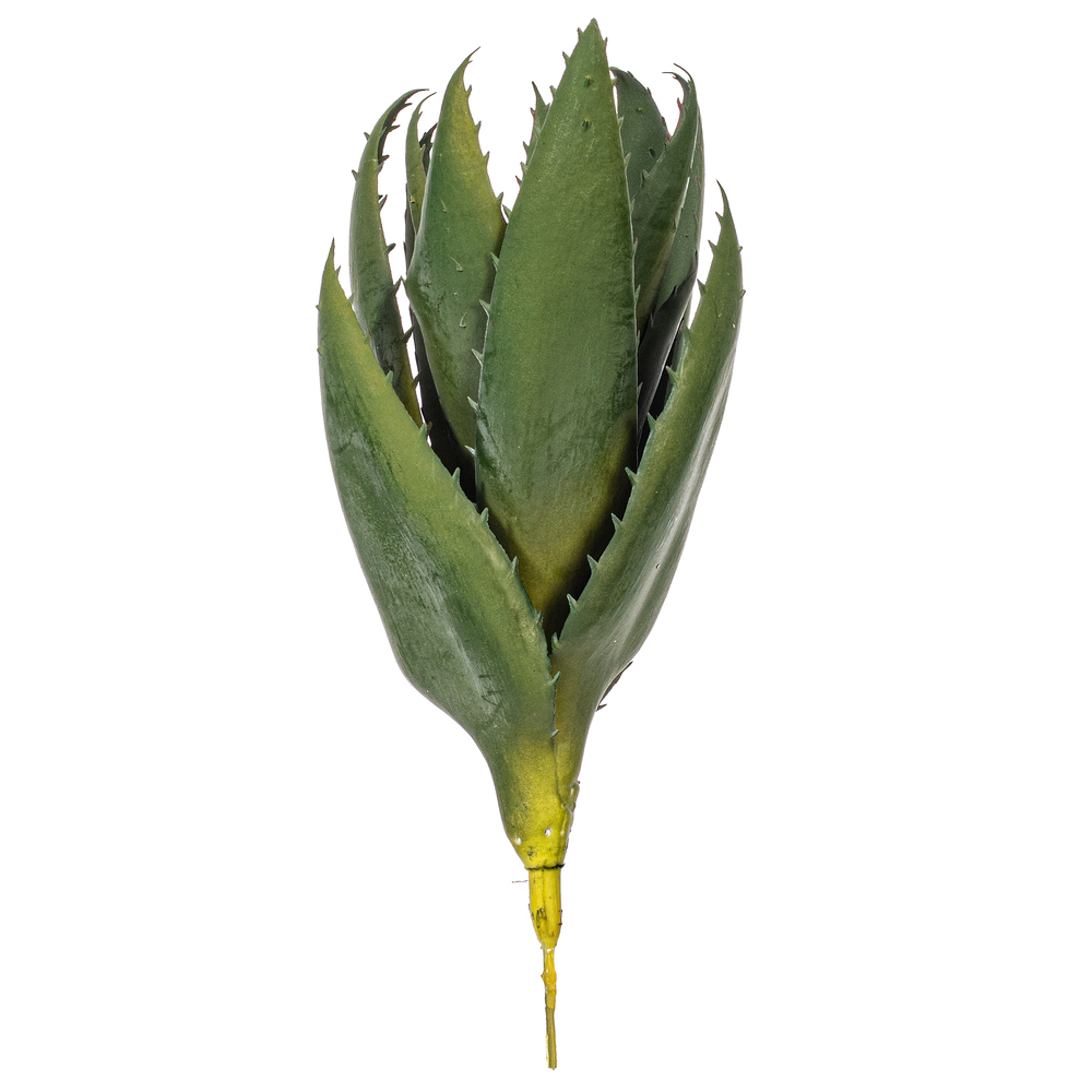 Vickerman Artificial Green Aloe Vera Pick, 2 per Bag.