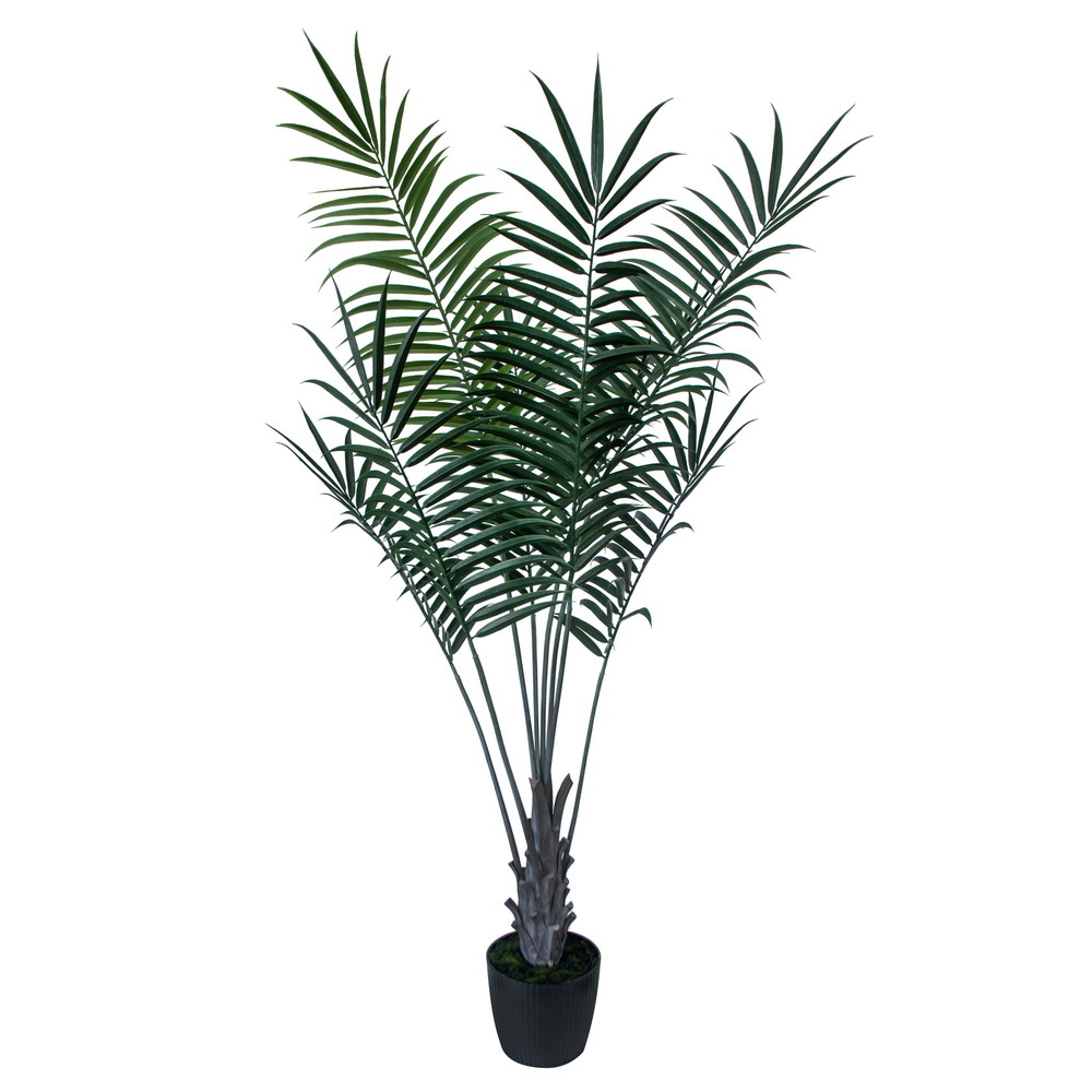 80" Areca Palm in Plastic Pot UV