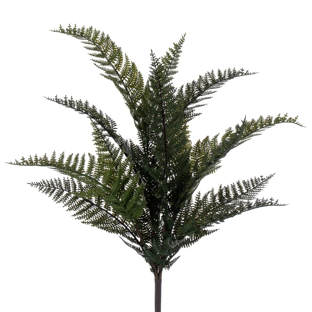 Vickerman Green Fern Spray