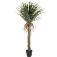 Vickerman Yucca Tree in Plastic Pot