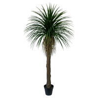 Vickerman Yucca Tree in Plastic Pot