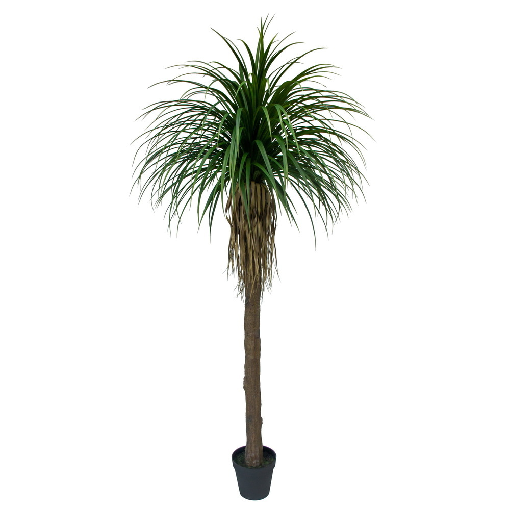 Vickerman Yucca Tree in Plastic Pot