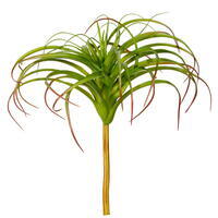 15" Green Red Tillandsia Pick UV 2/Bag