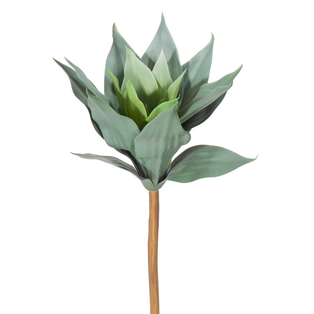 13.5" Frost Green Agave Stem UV 2/Bag