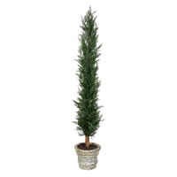 Vickerman Artificial Potted Cedar Tree Full