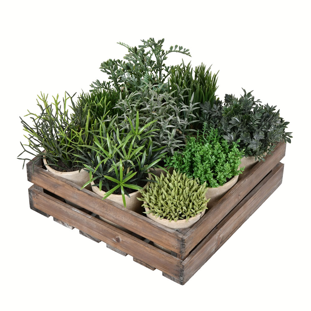 8" Potted Garden Grass