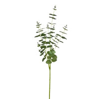 Vickerman Artificial Money Leaf Spray