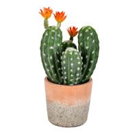 Vickerman Artificial Green Cactus in Clay Pot