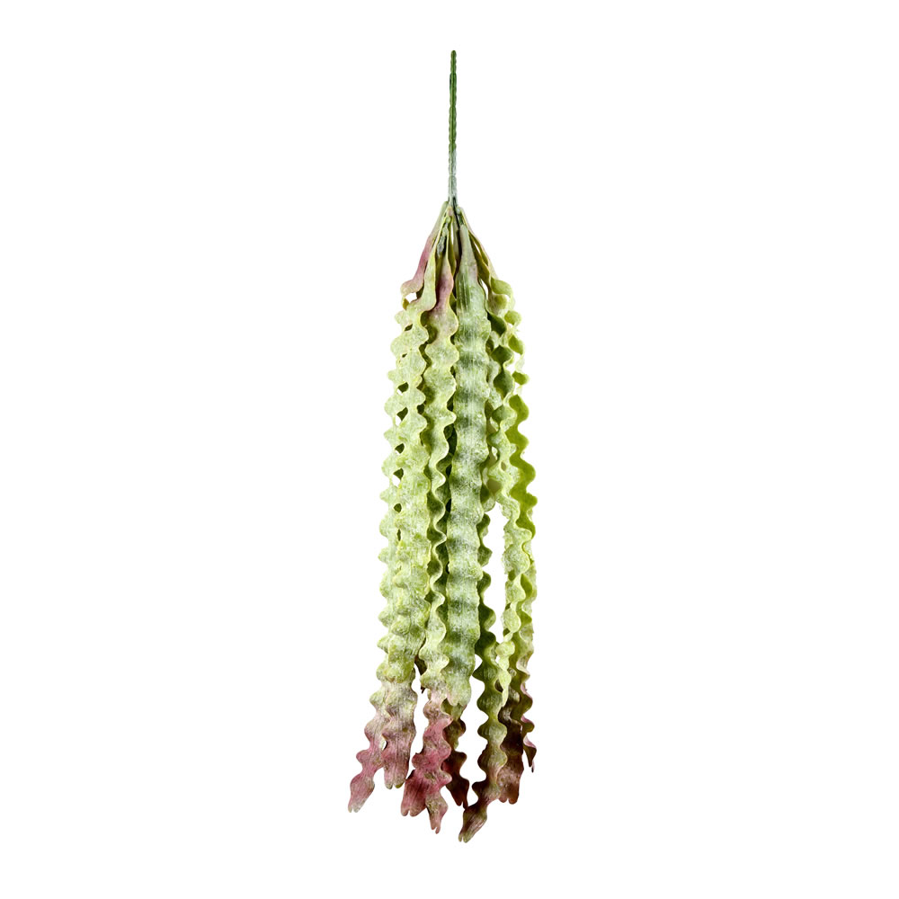 22" Green Seatangle Plant 2/pk