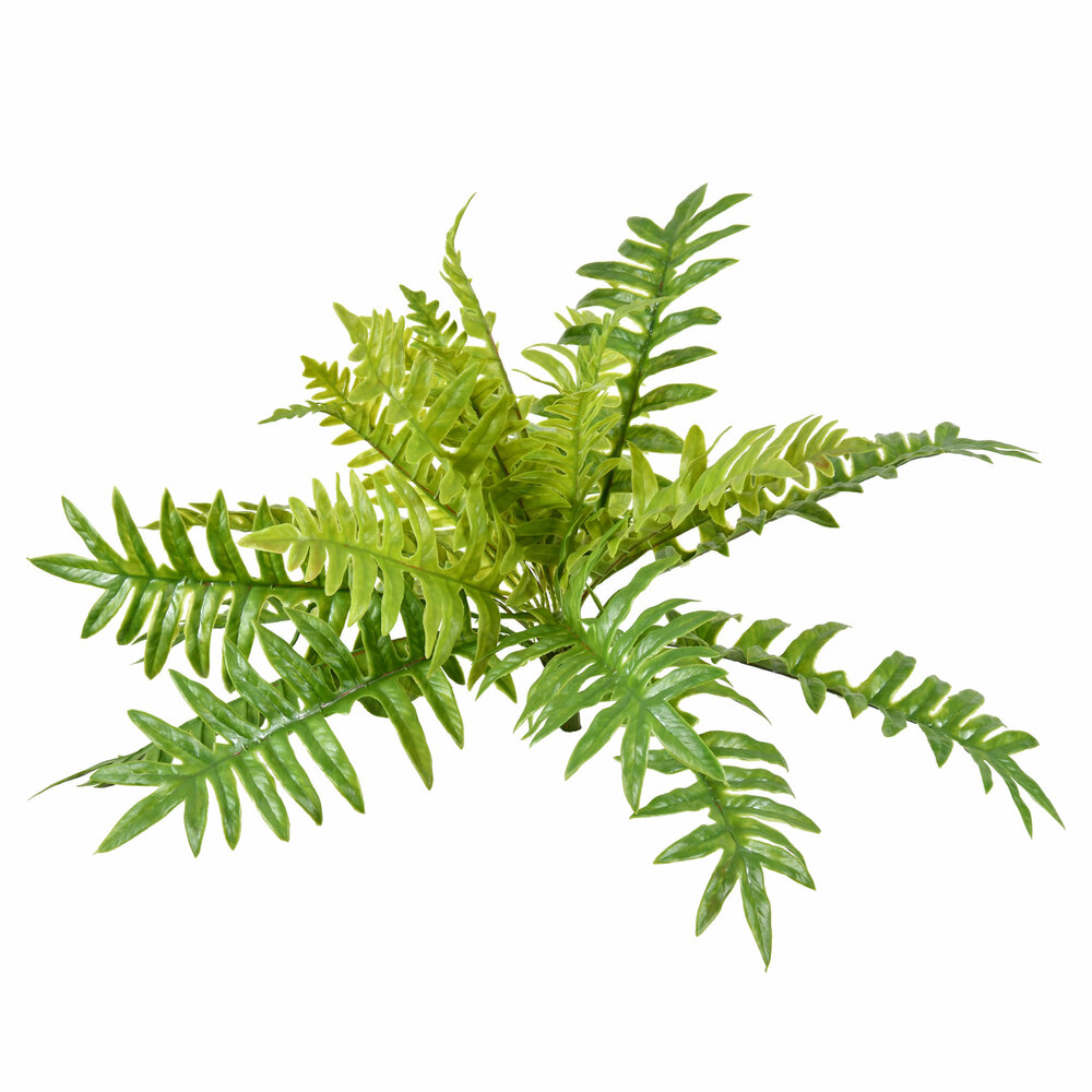 26" Green Fern Bush
