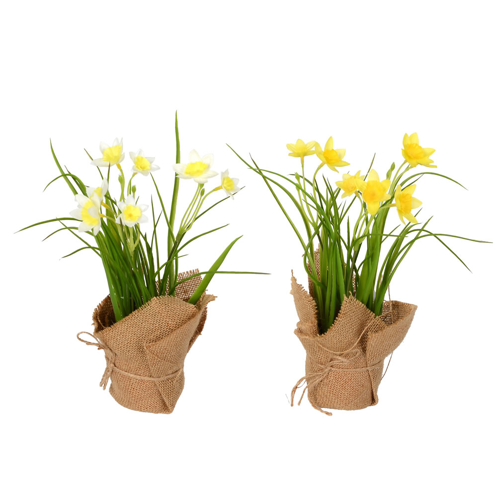 Vickerman Artificial Yellow Daffodil in Burlap Pot, Set of 2