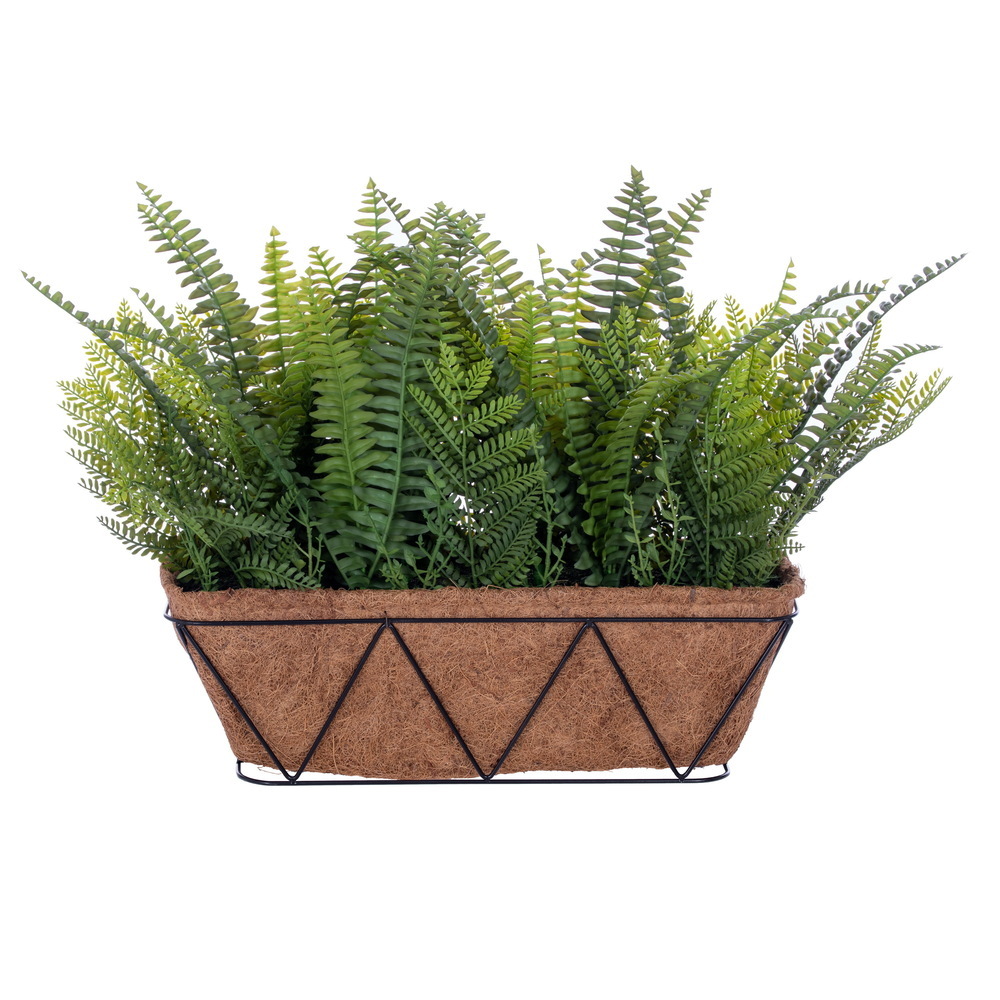 24" Fern Bush in Basket UV