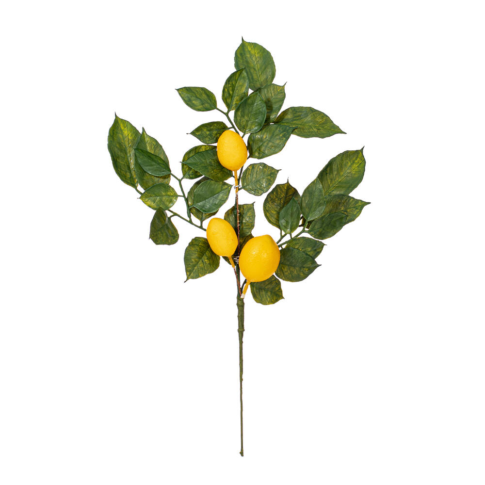 Vickerman Artificial Green and Yellow Salal Leaf Lemon Collection