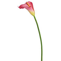 Vickerman Artificial Large Stem Calla Lily