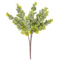 Vickerman Spiral Eucalyptus Collection