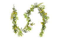 Vickerman Artificial Mixed Olive Leaf Collection